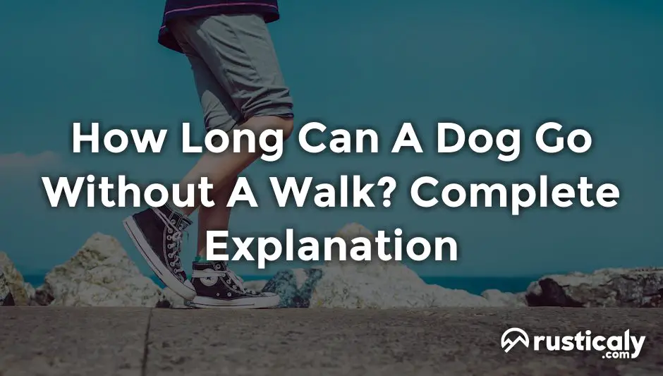 how long can a dog go without a walk