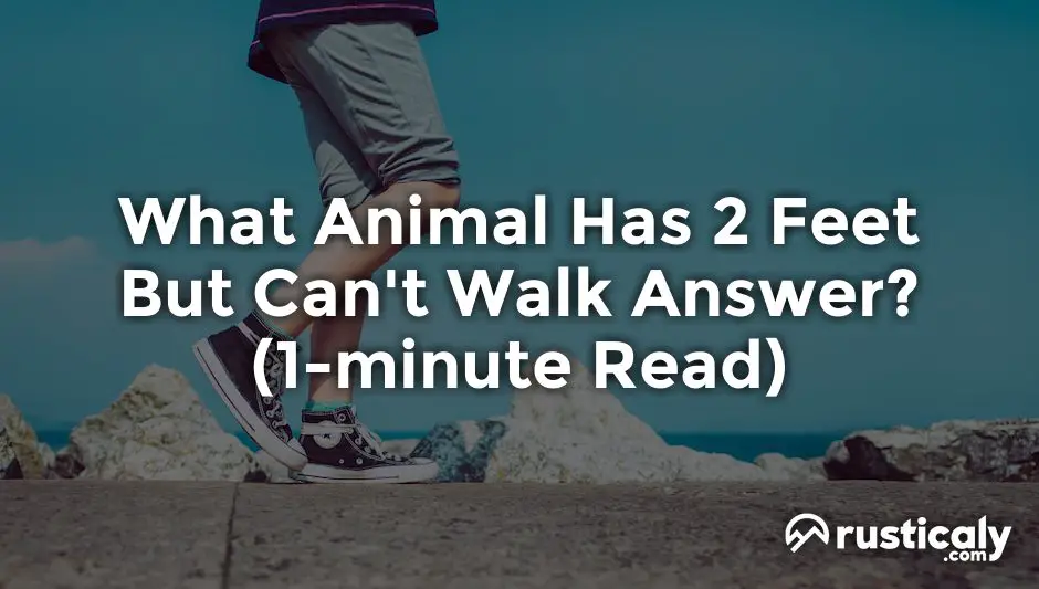 what animal has 2 feet but can't walk answer