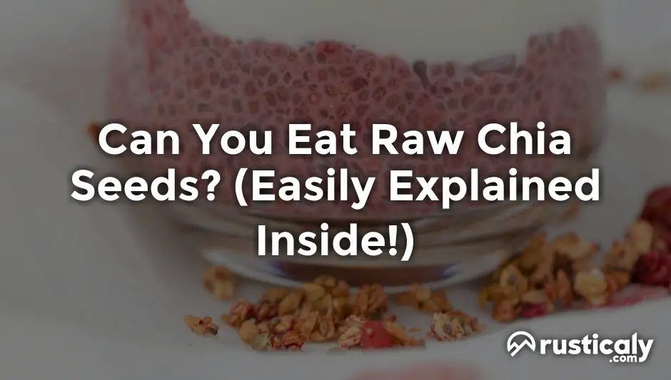can you eat raw chia seeds