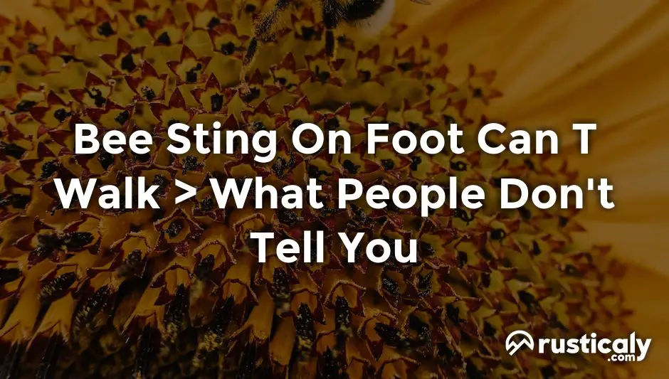 bee sting on foot can t walk