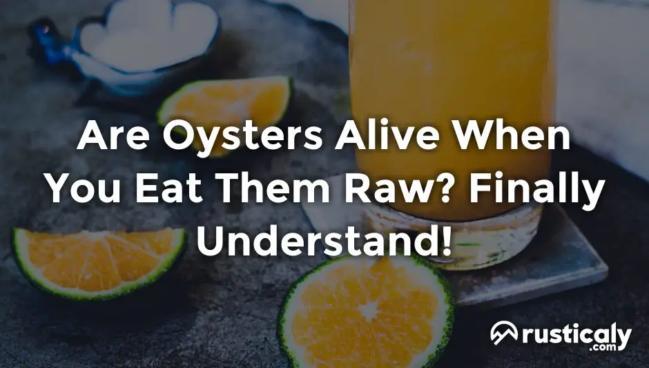 are oysters alive when you eat them raw