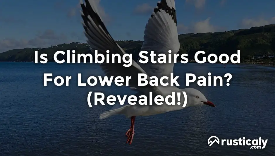 is climbing stairs good for lower back pain
