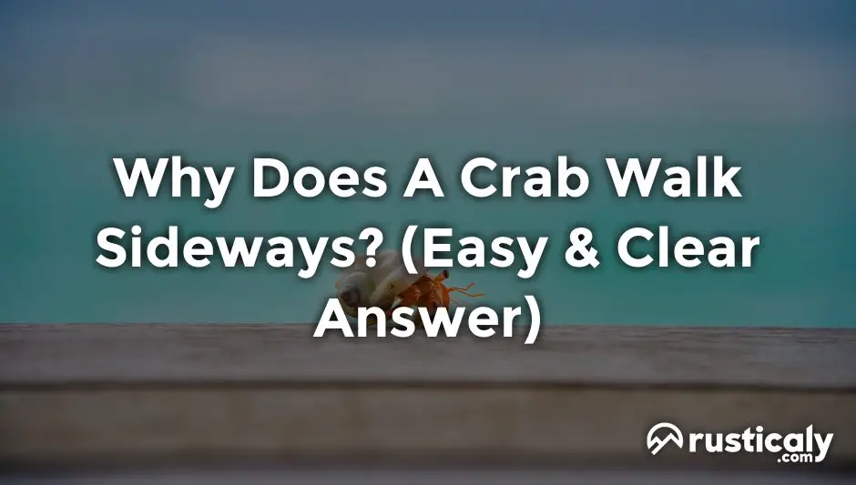 why does a crab walk sideways