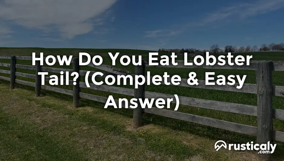 how do you eat lobster tail