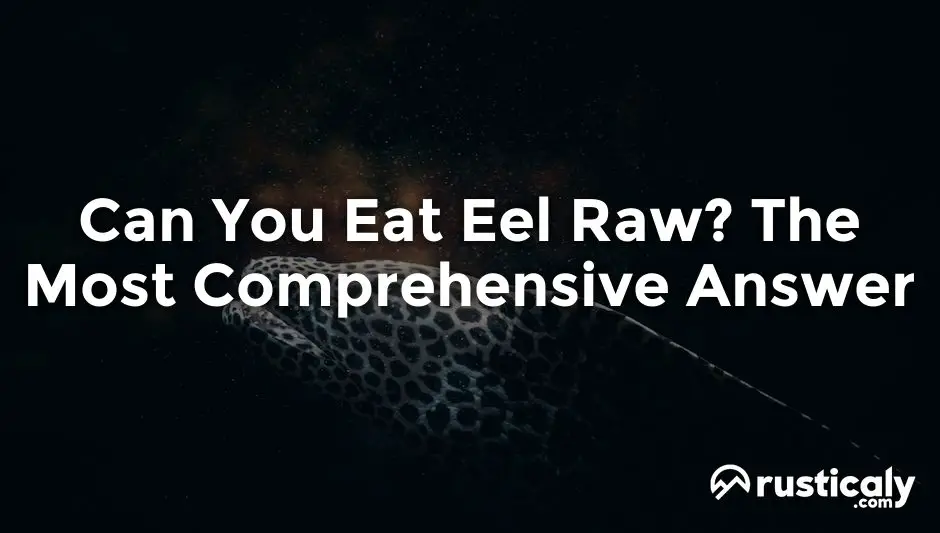 can you eat eel raw