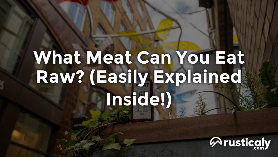 what meat can you eat raw