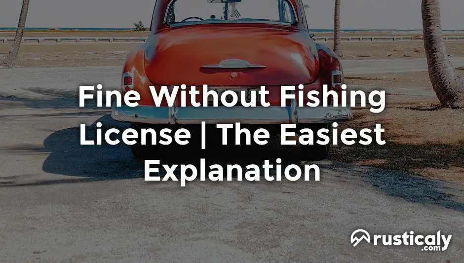 fine without fishing license