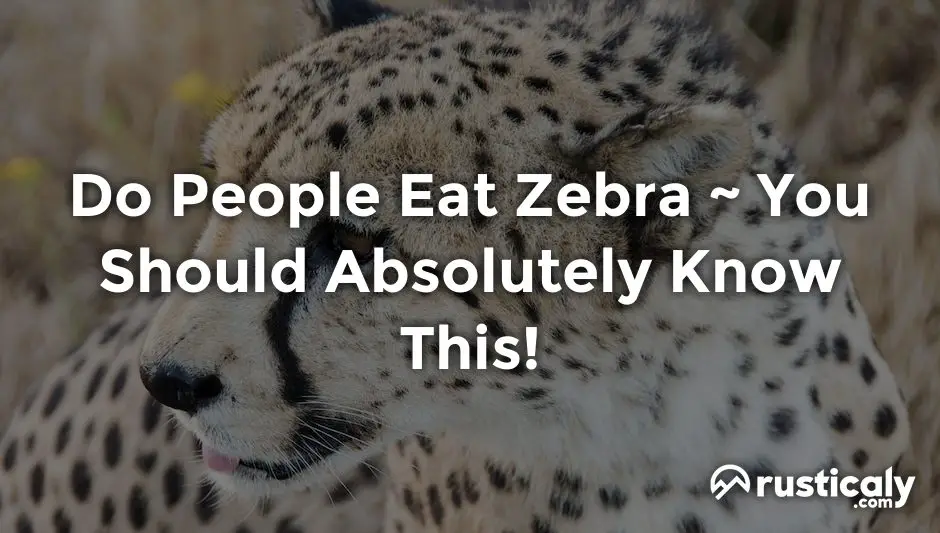 do people eat zebra