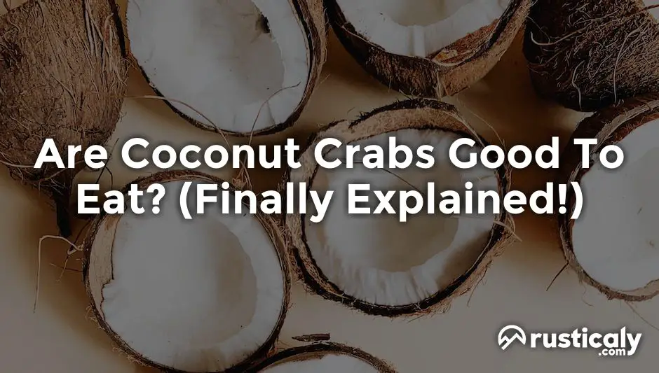 are coconut crabs good to eat