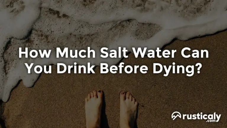 how much salt water can you drink before dying