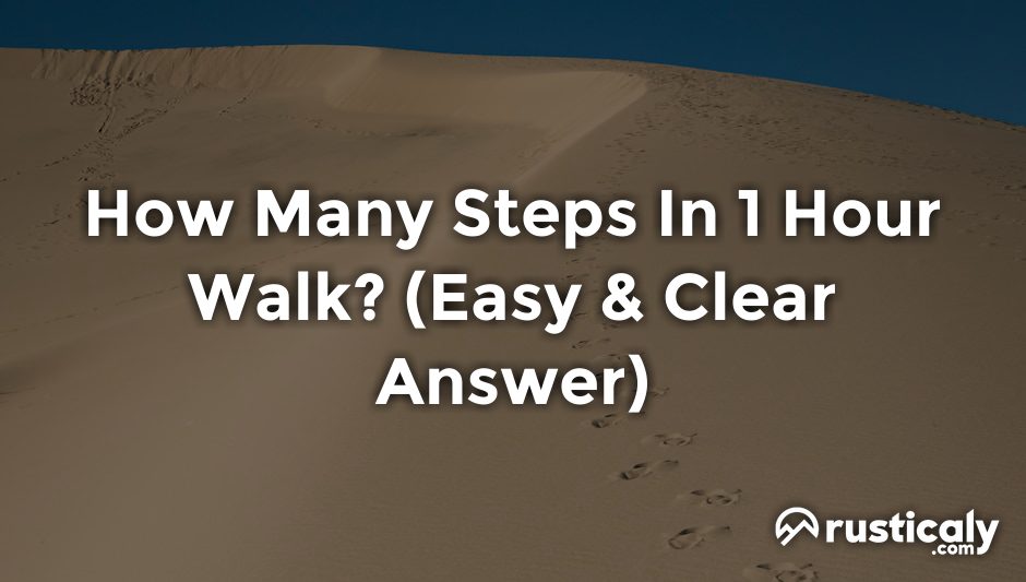 how many steps in 1 hour walk