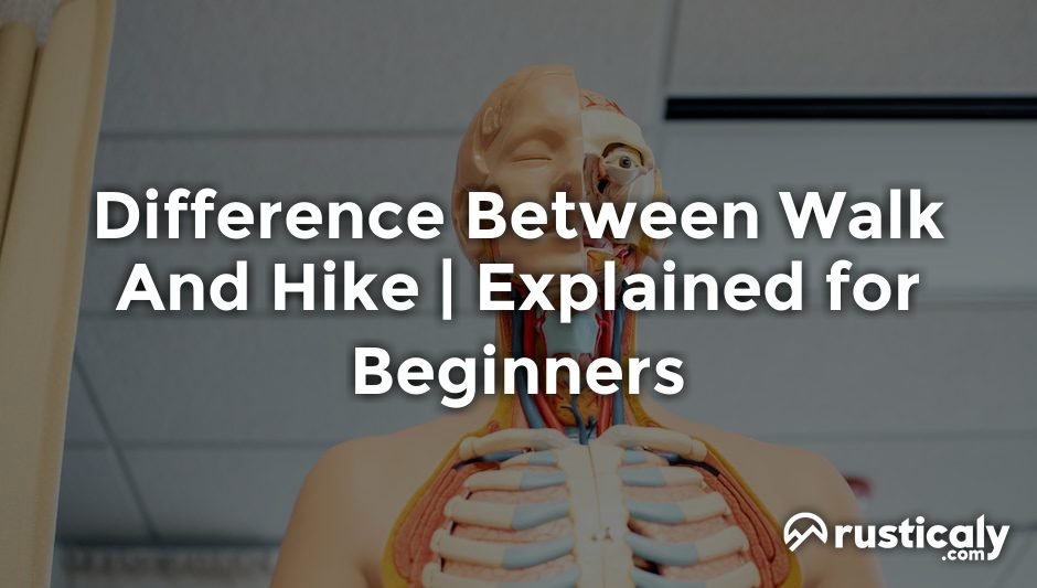 difference between walk and hike