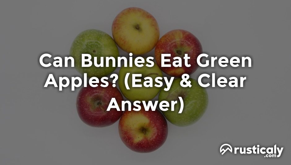 can bunnies eat green apples