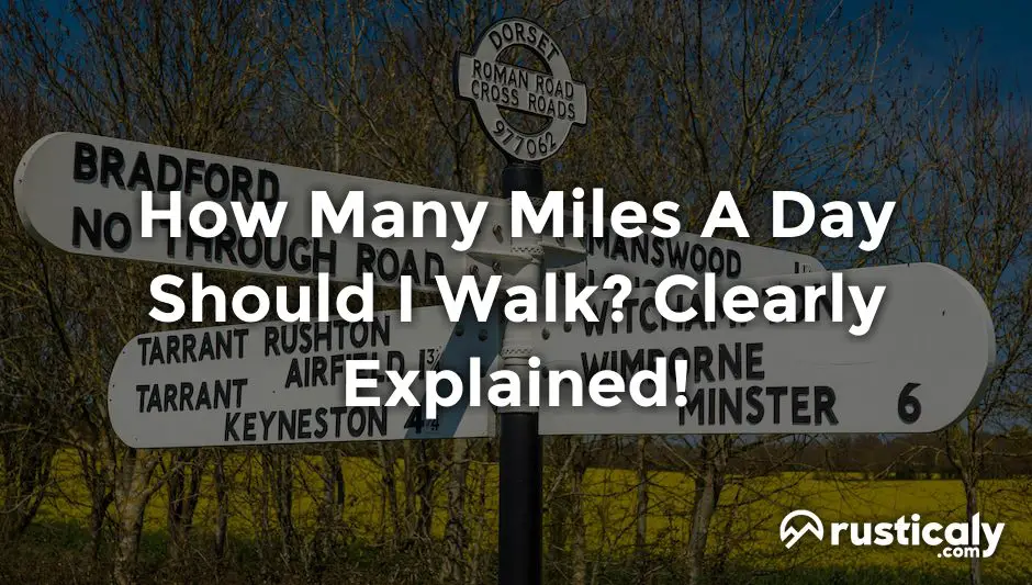 how many miles a day should i walk
