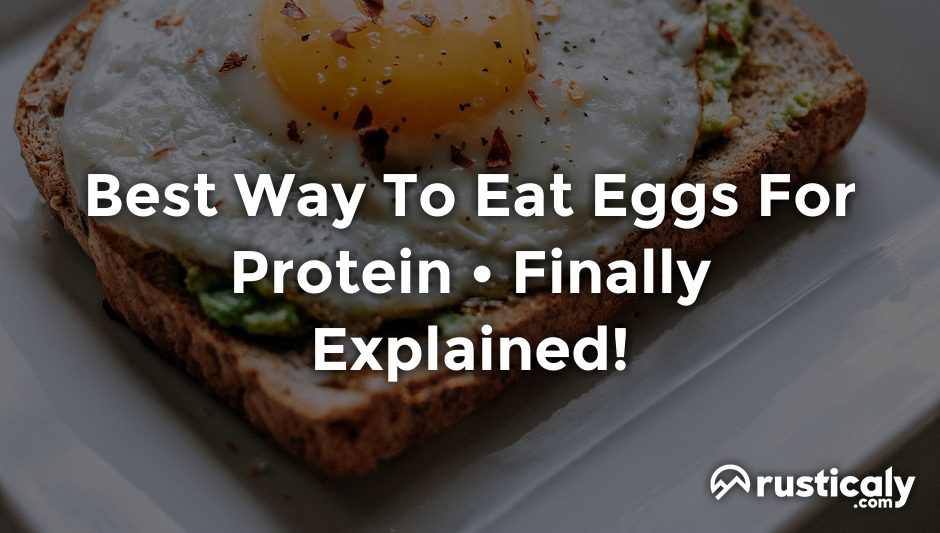 best way to eat eggs for protein