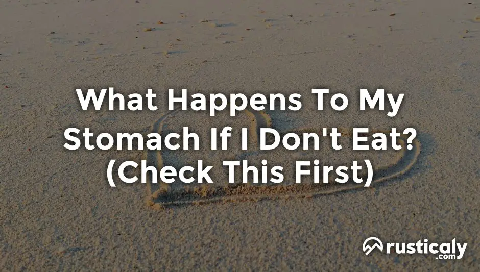 What Happens To My Stomach If I Don't Eat? (Helpful Examples)