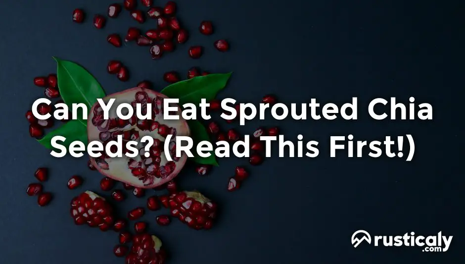can you eat sprouted chia seeds
