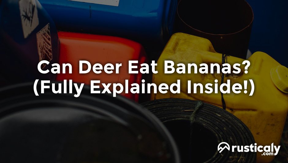can deer eat bananas