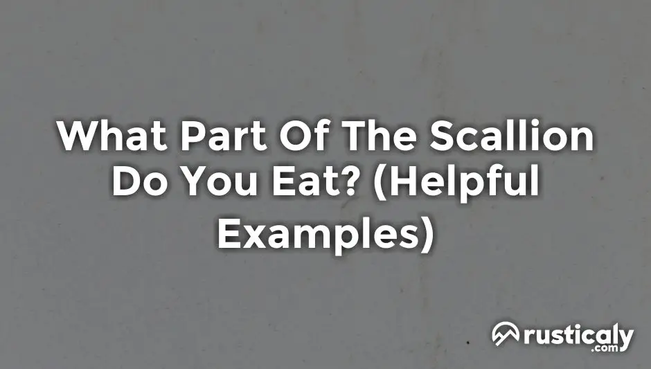 what part of the scallion do you eat