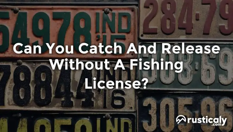 can you catch and release without a fishing license