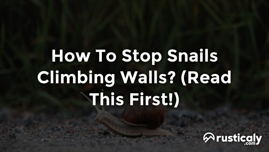 how to stop snails climbing walls