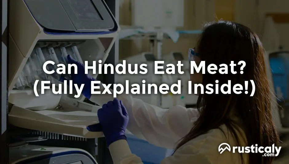 can hindus eat meat