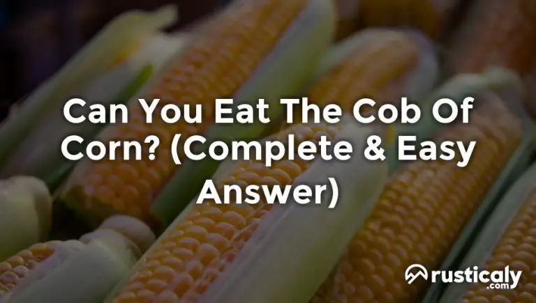 can you eat the cob of corn