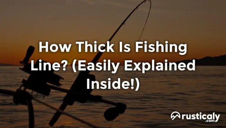 how thick is fishing line