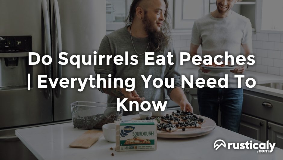 do squirrels eat peaches