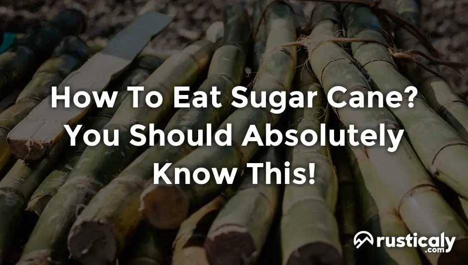 how to eat sugar cane