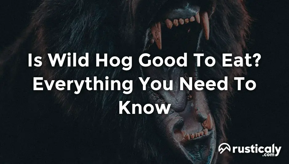 is wild hog good to eat