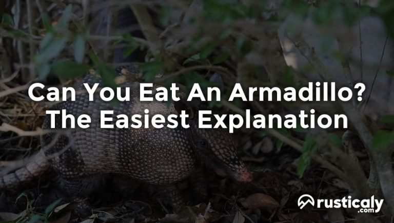 can you eat an armadillo