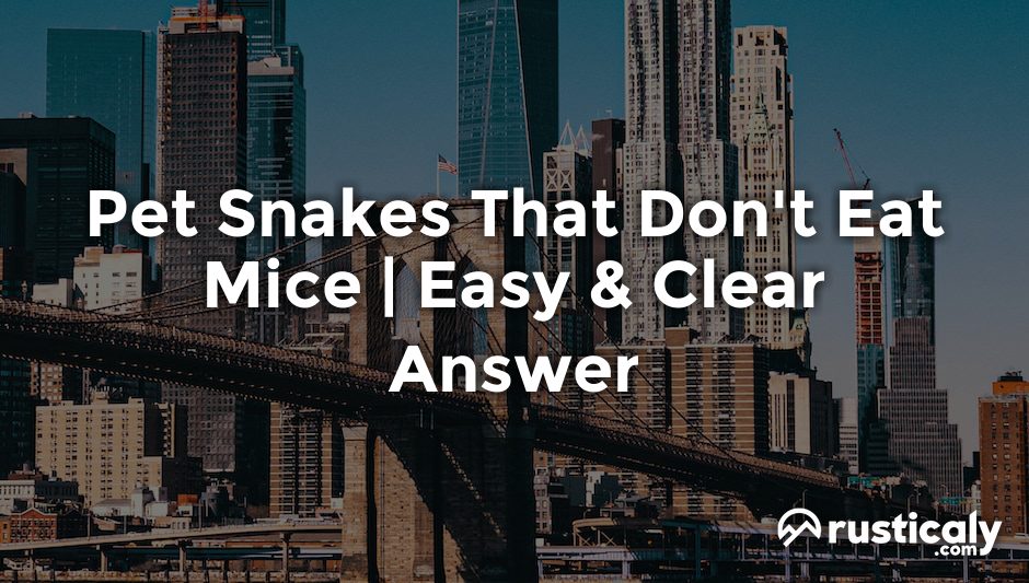 pet snakes that don't eat mice