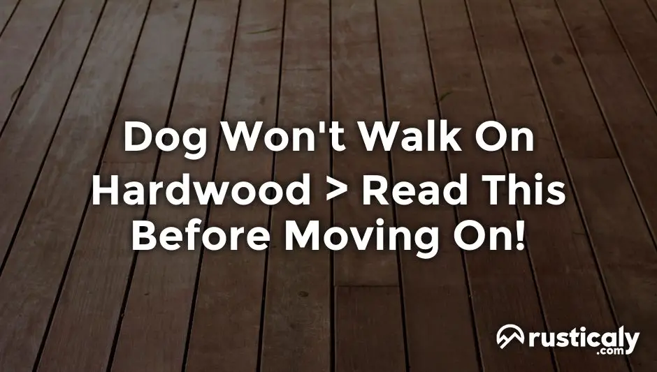 dog won't walk on hardwood