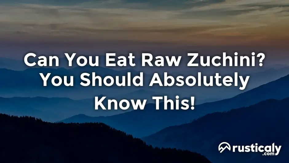 can you eat raw zuchini