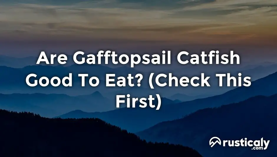 are gafftopsail catfish good to eat