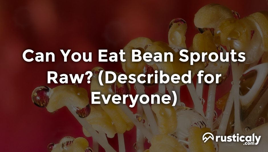 can you eat bean sprouts raw