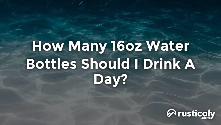 how many 16oz water bottles should i drink a day