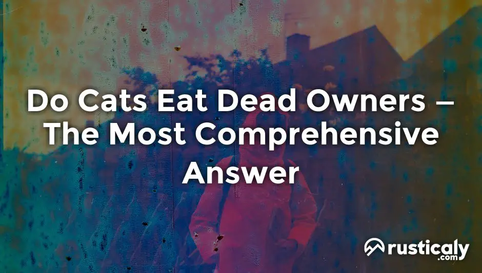 do cats eat dead owners
