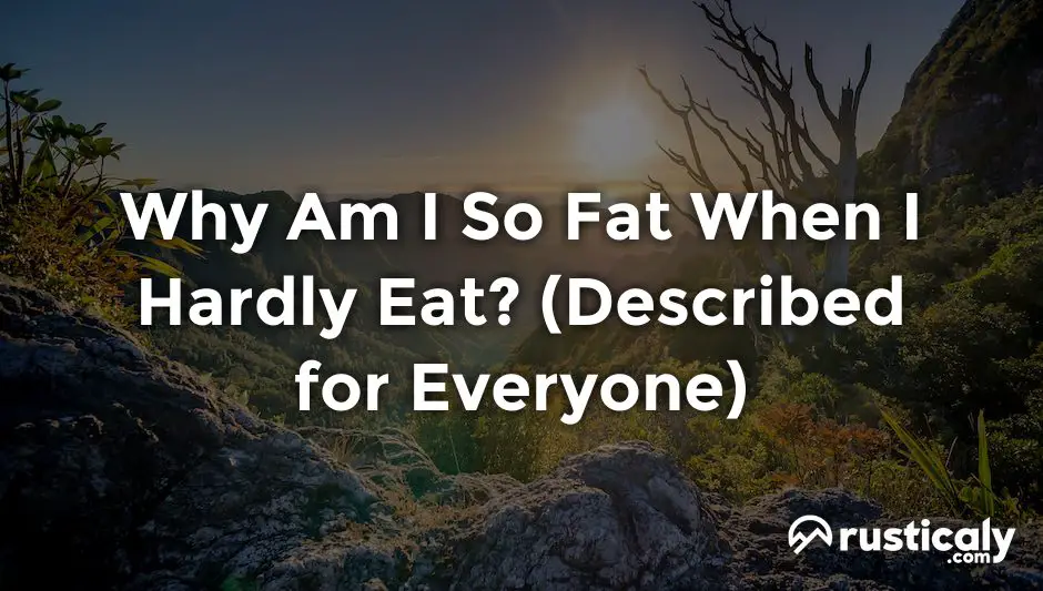 Why Am I So Fat When I Hardly Eat? (Explanation Revealed!)