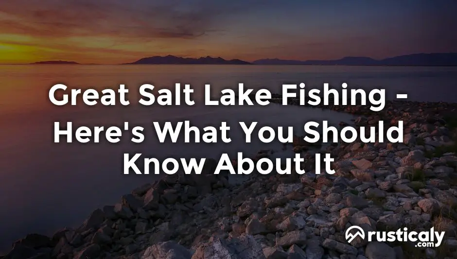 great salt lake fishing