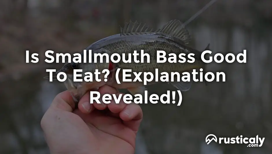 is smallmouth bass good to eat