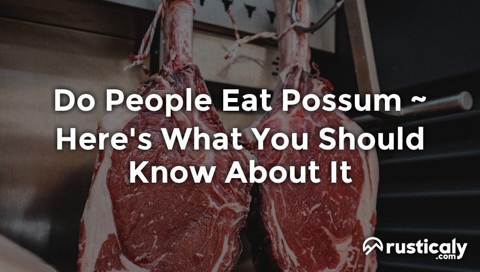 do people eat possum