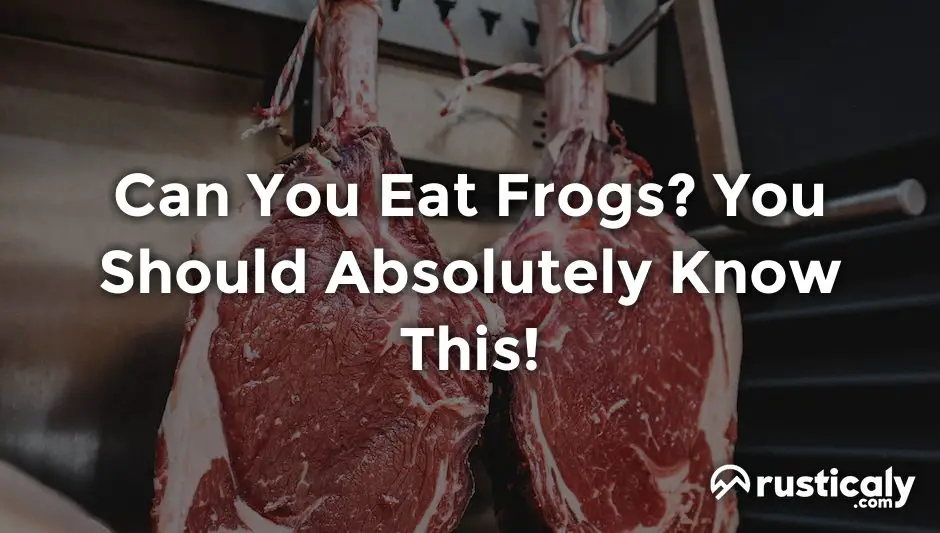 can you eat frogs