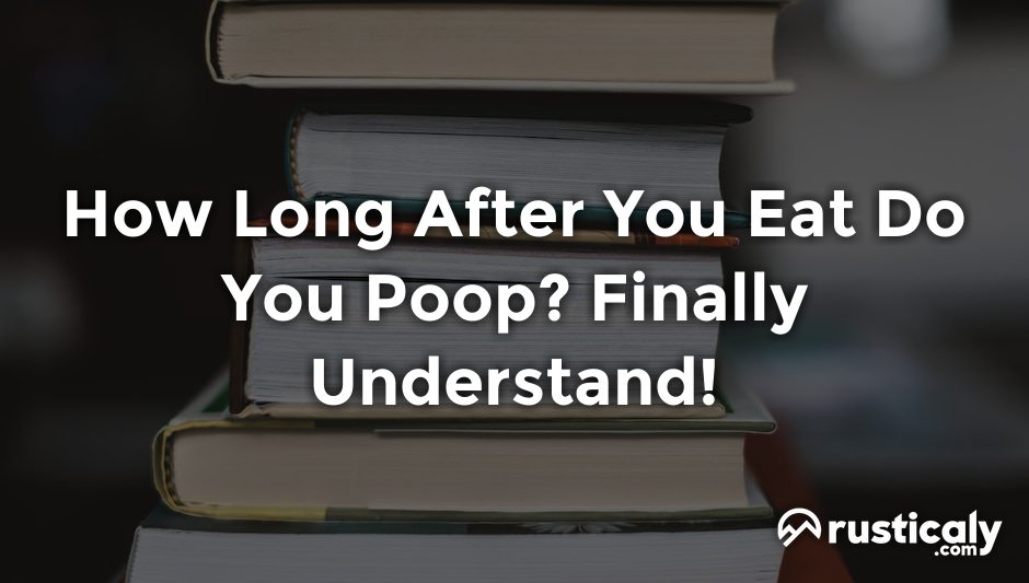 how long after you eat do you poop