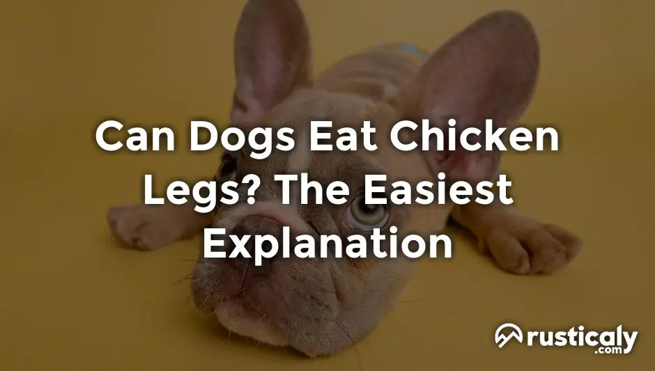 can dogs eat chicken legs