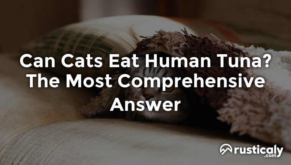 can cats eat human tuna
