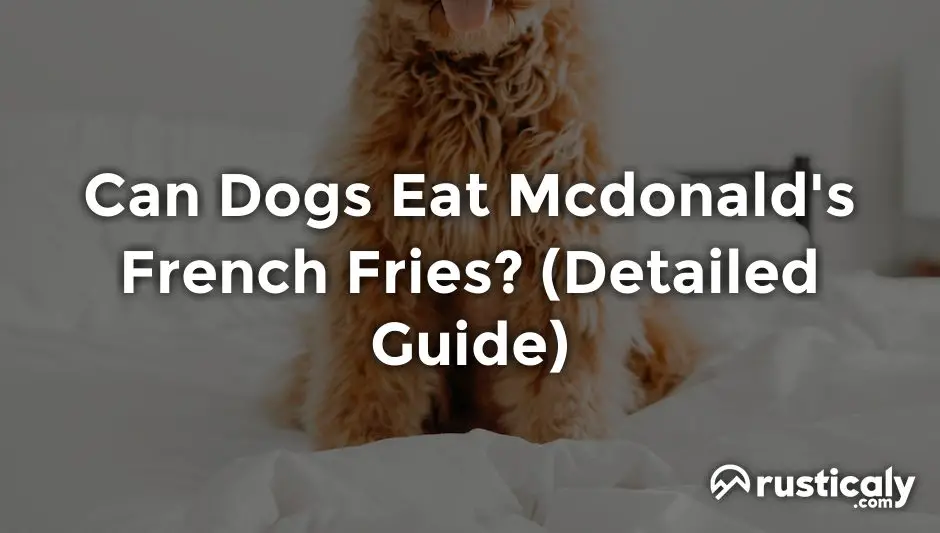 can dogs eat mcdonald's french fries