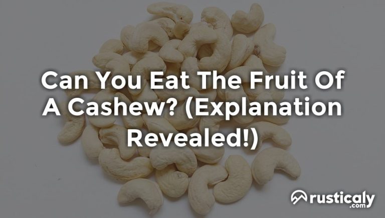 can you eat the fruit of a cashew
