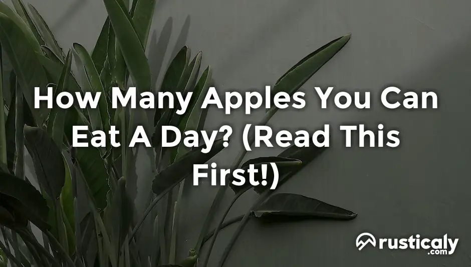 how many apples you can eat a day